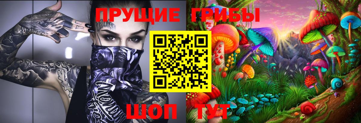Галлюциногенные грибы Cubensis Сланцы
